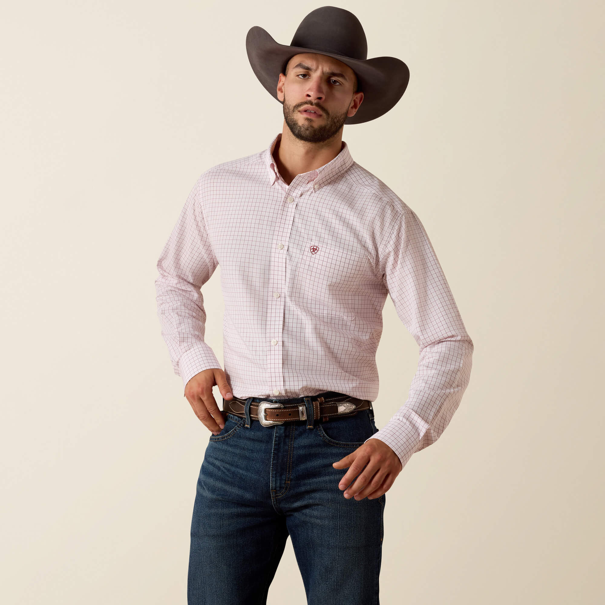 Wrinkle Free Wenzel Fitted Shirt