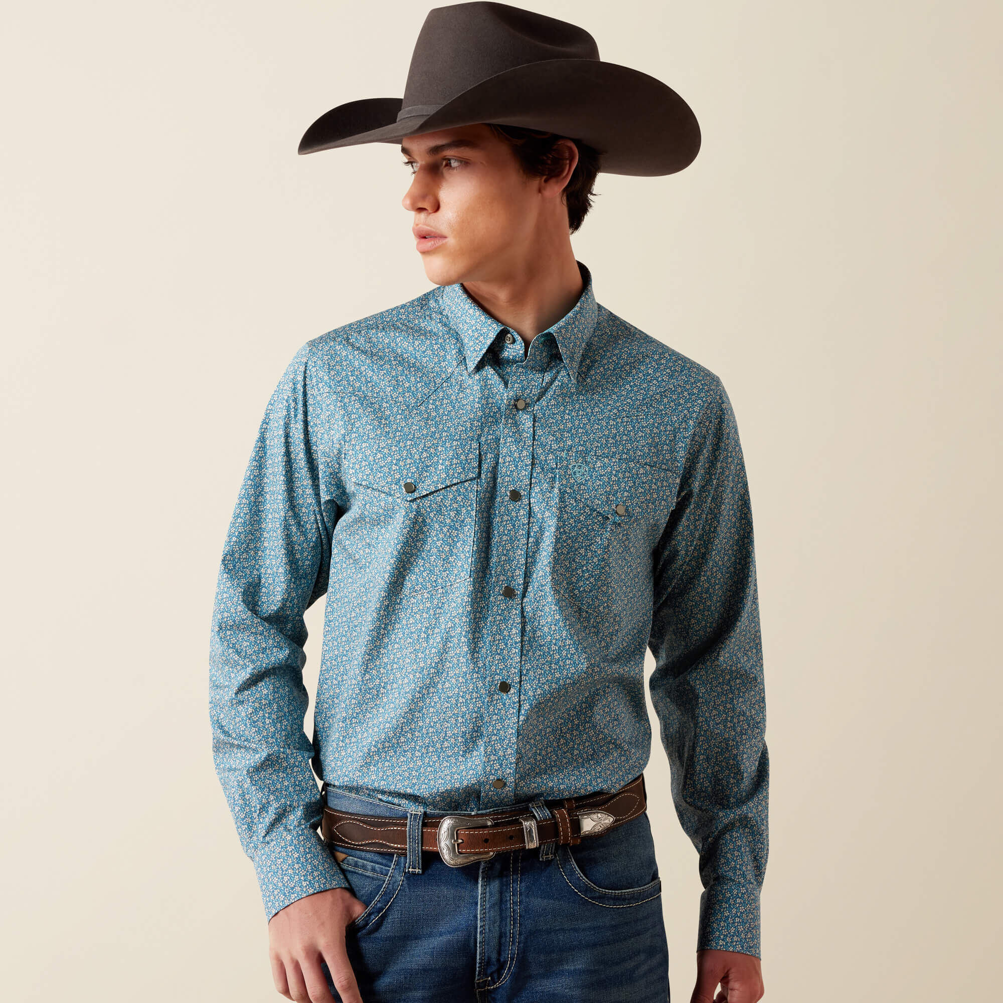 Wrinkle Free Bram Fitted Snap Shirt
